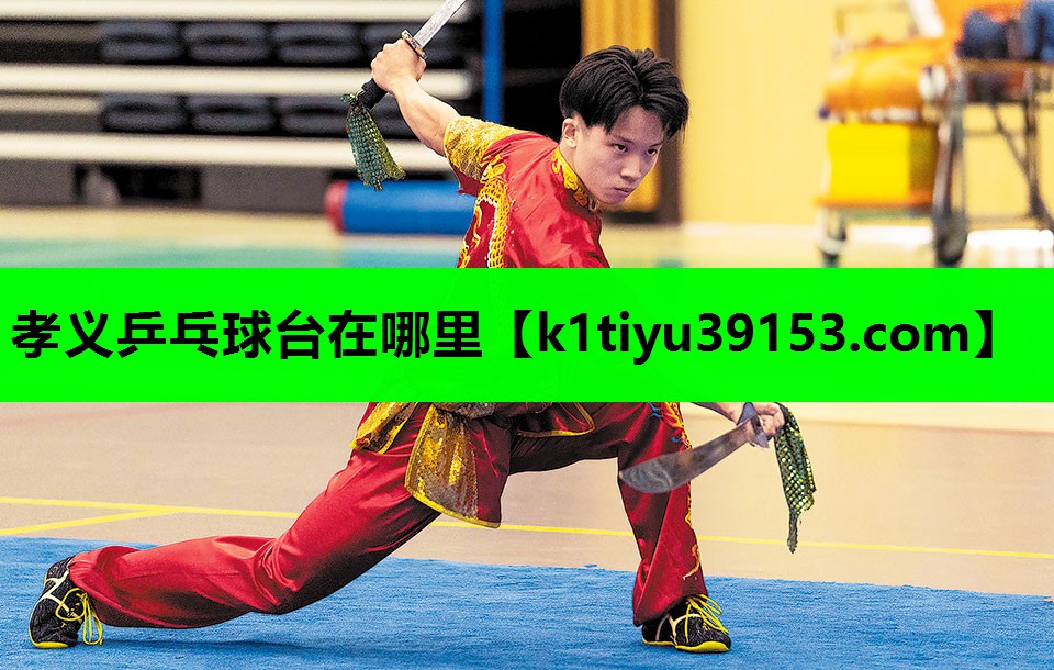 孝义乒乓球台在哪里