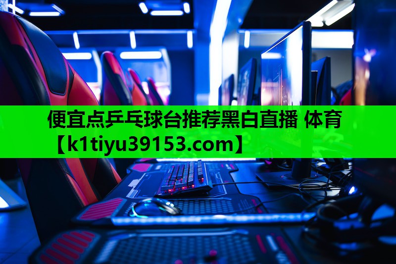 便宜点乒乓球台推荐黑白直播 体育