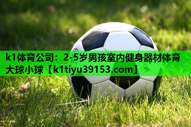 k1体育公司：2-5岁男孩室内健身器材体育大球小球